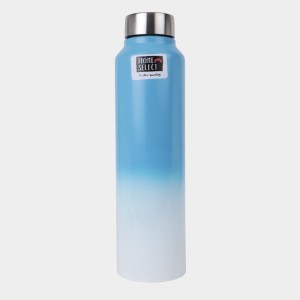 1 L Stainless Steel Bottle, 7 X 27 cm (Pack of 1)