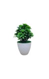 Hitech Artificial Green Bonsai with Pot for Home, Garden and Office Decor