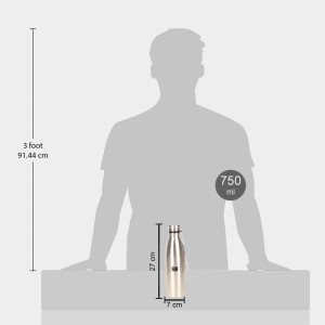 750ml Stainless Steel Bottle - (M3852)