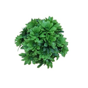 Hitech Artificial Green Bonsai with Pot for Home, Garden and Office Decor