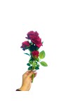 Artificial Red Rose Bouquet (with Pot) – Realistic Faux Roses with Green Leaves, Decorative Fake Flower Stem for Home Décor, Wedding, Valentine’s Day, Anniversary & Table Centerpiece (Mutlicolor)
