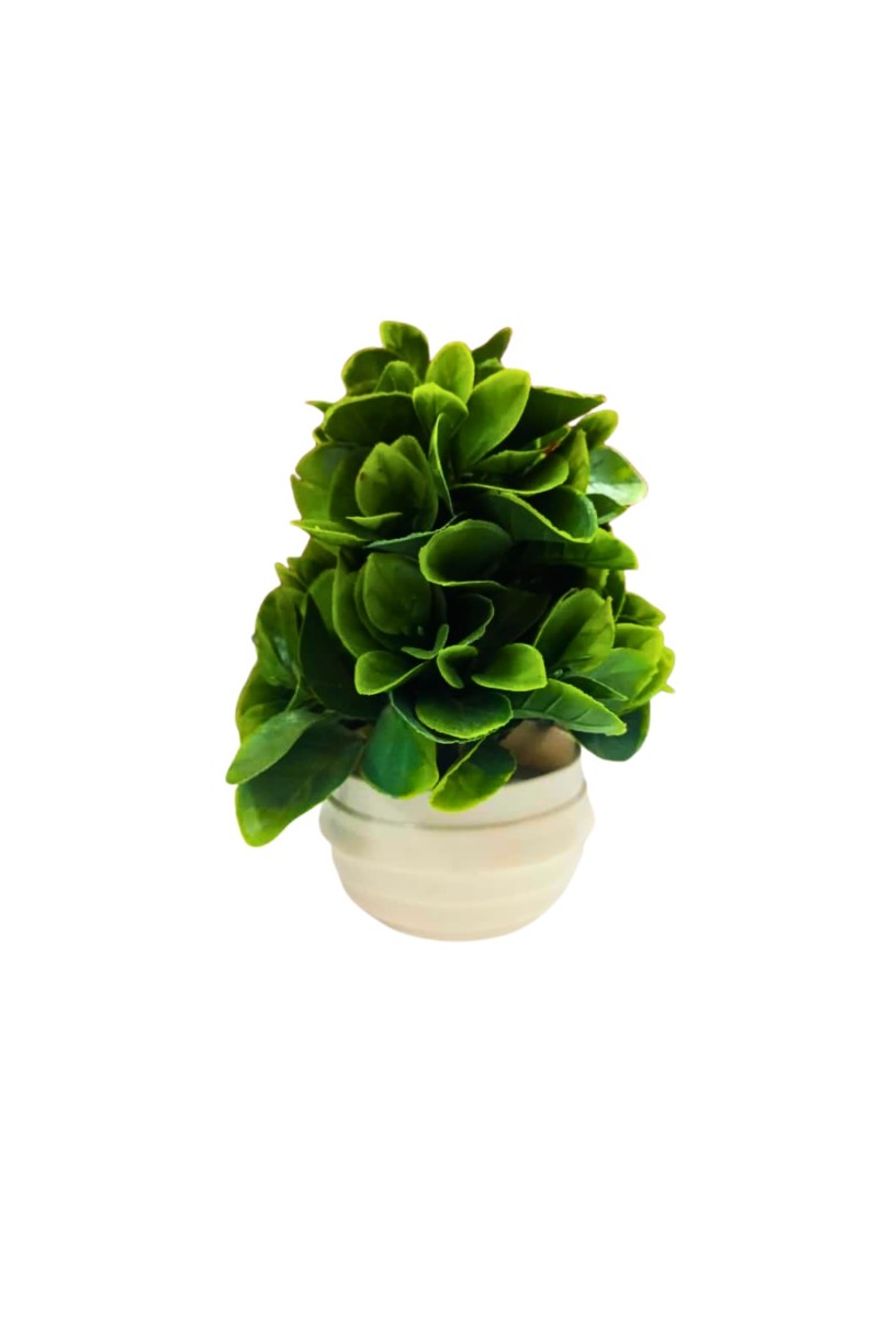 Mini Artificial Green Tree in Pot – Small Faux Plant for Home, Office, Desk Decor – Realistic Tabletop Greenery – Indoor Decorative Plant in White Pot