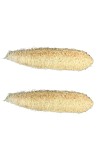 Natural Loofah Sponge for Bath & Body Scrubbing | 100% Organic Luffa Exfoliating Sponge | Eco-Friendly Shower Scrubber for Skin Care & Cleaning (Pack of 2)