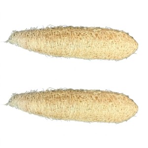 Natural Loofah Sponge for Bath & Body Scrubbing | 100% Organic Luffa Exfoliating Sponge | Eco-Friendly Shower Scrubber for Skin Care & Cleaning (Pack of 2) Natural Loofah Sponge for Bath & Body Scrubbing | 100% Organic Luffa Exfoliating Sponge | Eco-Friendly Shower Scrubber for Skin Care & Cleaning (Pack of 2)