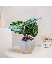 HiTechMart Artificial Green Leaf Plant in White Vase – Lifelike Faux Decorative Plant with Colorful Pebbles – Home, Office & Indoor Décor Accent (White)