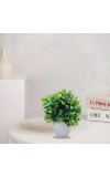 HiTechMart Artificial Green Boxwood Plant in White Ceramic Vase – Realistic Faux Desk & Tabletop Plant for Home, Office & Indoor Décor