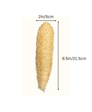 Natural Loofah Sponge for Bath & Body Scrubbing | 100% Organic Luffa Exfoliating Sponge | Eco-Friendly Shower Scrubber for Skin Care & Cleaning (Pack of 2) Natural Loofah Sponge for Bath & Body Scrubbing | 100% Organic Luffa Exfoliating Sponge | Eco-Friendly Shower Scrubber for Skin Care & Cleaning (Pack of 2)