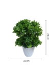 Hitech Sales Mini Artificial Bonsai Plants with Realistic Granite White Plastic Pot Aesthetic Home Decorations for Living Room Bedroom Home Decor, Office Desk, Gift for Birthday Housewarming