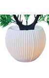 HiTechMart Artificial Heart-Shaped Green Plant in Vase – Lifelike Faux Bonsai Tree for Home Décor, Office, Living Room, Table Centerpiece, and Gift – Elegant & Maintenance-Free
