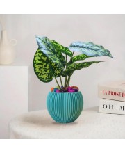 HiTechMart Artificial Green Leaf Plant in White Vase – Lifelike Faux Decorative Plant with Colorful Pebbles – Home, Office & Indoor Décor Accent (Blue)