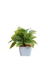 Artificial Leaf Plant with Pot Realistic Faux Greenery Indoor Decoration Home Office Tabletop Decor