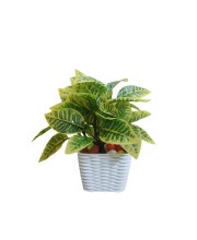 Artificial Leaf Plant with Pot Realistic Faux Greenery Indoor Decoration Home Office Tabletop Decor