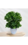 Hitech Sales Mini Artificial Bonsai Plants with Realistic Granite White Plastic Pot Aesthetic Home Decorations for Living Room Bedroom Home Decor, Office Desk, Gift for Birthday Housewarming