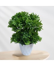 Hitech Sales Mini Artificial Bonsai Plants with Realistic Granite White Plastic Pot Aesthetic Home Decorations for Living Room Bedroom Home Decor, Office Desk, Gift for Birthday Housewarming