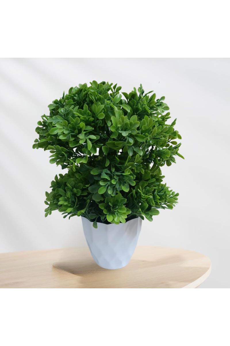 Hitech Sales Mini Artificial Bonsai Plants with Realistic Granite White Plastic Pot Aesthetic Home Decorations for Living Room Bedroom Home Decor, Office Desk, Gift for Birthday Housewarming