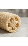 Natural Loofah Sponge for Bath & Body Scrubbing | 100% Organic Luffa Exfoliating Sponge | Eco-Friendly Shower Scrubber for Skin Care & Cleaning (Pack of 2)
