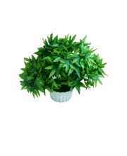 Hitech Artificial Green Bonsai with Pot for Home, Garden and Office Decor