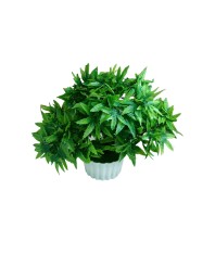 Hitech Artificial Green Bonsai with Pot for Home, Garden and Office Decor