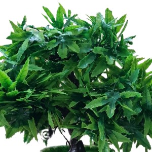 HiTechMart Artificial Green Bonsai Tree – Lifelike Faux Miniature Plant in White Pot for Home & Office Décor, Maintenance-Free Decorative Greenery