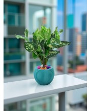 HiTechMart Artificial Money Plant with Decorative Pot – Realistic Green Potted Faux Plant with Colorful Pebbles – Indoor Home & Office Desk Decor – No Maintenance Required