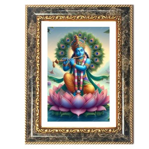 Krishna Decorative Photo Frame With White Mount | Premium Wall & Tabletop Picture Frame | Home, Office & Temple Decoration | 8x12 Inch (Pack Of 1) (F32538)