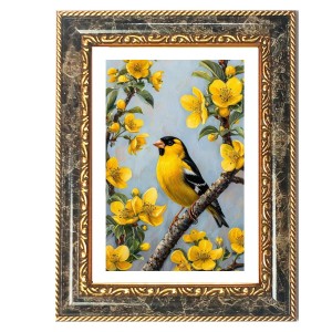 American Goldfinch Decorative Photo Frame With White Mount | Premium Wall & Tabletop Picture Frame | Home, Office & Temple Decoration | 10x14 Inch (Pack Of 1) (F31555) American Goldfinch Decorative Photo Frame With White Mount | Premium Wall & Tabletop Picture Frame | Home, Office & Temple Decoration | 10x14 Inch (Pack Of 1) (F31555)
