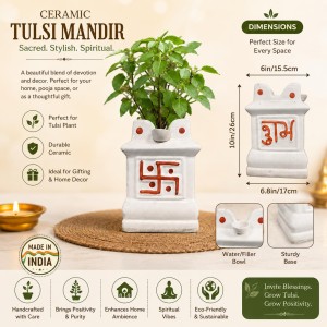 Handcrafted Ceramic White Tulsi Mandir with Auspicious Swastik Design | Traditional Tulsi Planter for Home, Balcony & Puja Room| Design May Vary | Securely Packed in a Wooden Box for Safe Delivery