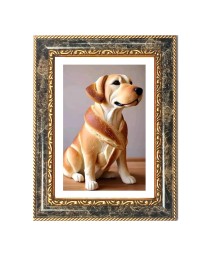 ToToast Decorative Photo Frame With White Mount | Premium Wall & Tabletop Picture Frame | Home, Office & Temple Decoration | 10x14 Inch (Pack Of 1) (F32624)