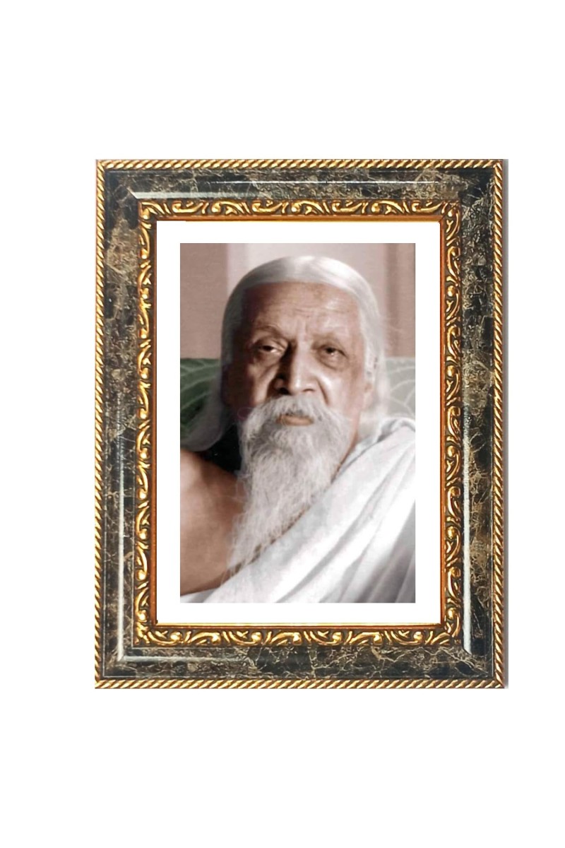 Sri Aurobindo Ghosh Decorative Photo Frame With White Mount | Premium Wall & Tabletop Picture Frame | Home, Office & Temple Decoration | 10x14 Inch (Pack Of 1) (F31290)