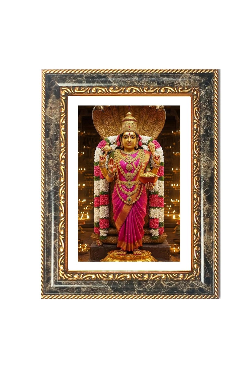 Lakshmi Decorative Photo Frame With White Mount | Premium Wall & Tabletop Picture Frame | Home, Office & Temple Decoration | 8x12 Inch (Pack Of 1) (F31573)