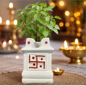 Handcrafted Ceramic White Tulsi Mandir with Auspicious Swastik Design | Traditional Tulsi Planter for Home, Balcony & Puja Room| Design May Vary | Securely Packed in a Wooden Box for Safe Delivery