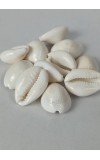 Hitech Sales Natural White Cowrie-Kaudi-Kawri-Kori - Cowry- Sea Shell for Puja and Multi Purpose Uses (50)