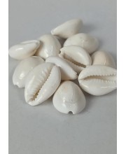 Hitech Sales Natural White Cowrie-Kaudi-Kawri-Kori - Cowry- Sea Shell for Puja and Multi Purpose Uses (100)
