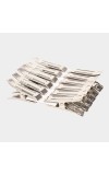 Steel Cloth Clips-Set of 15, 1 2