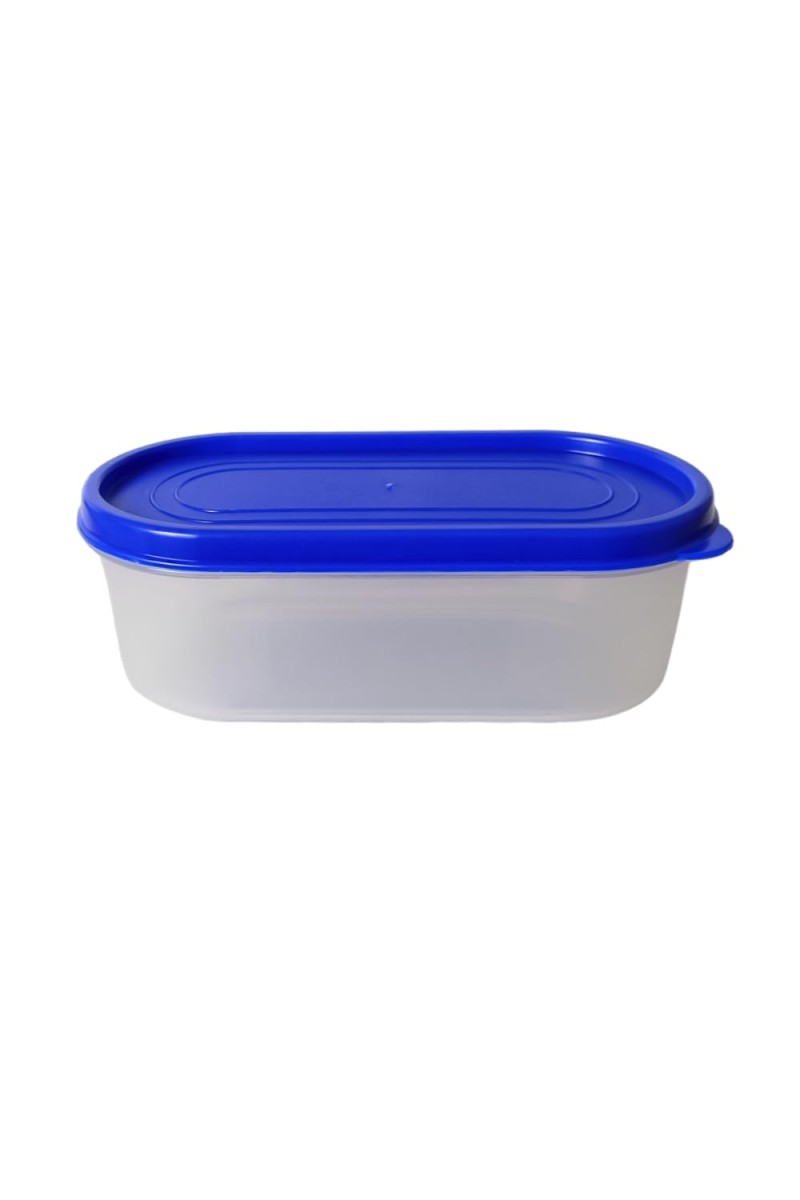Airtight Kitchen Storage Container, 600ml Capacity, Blue Lid (Set of 2) (7 X 2.5)