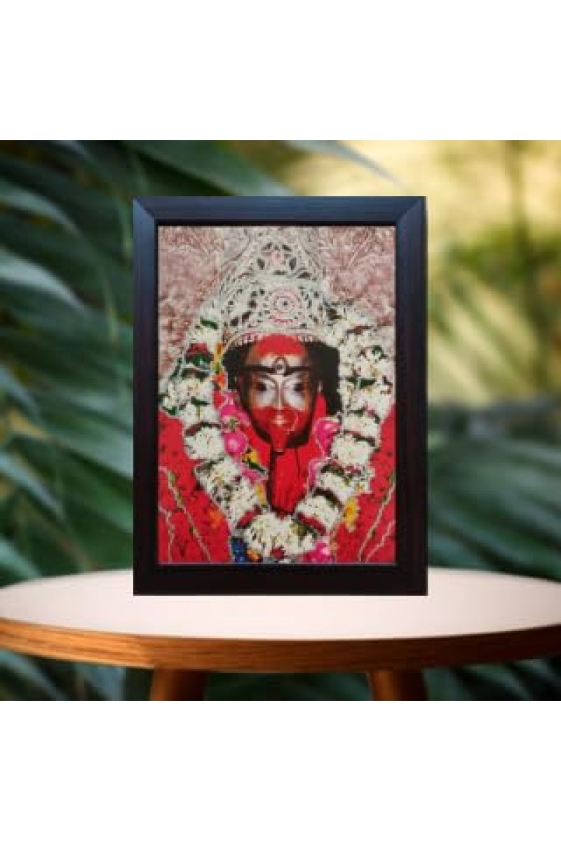 Hitech Sales Tara Maa Photo Frame, Brown,1 Piece for Wall, Temple, Outdoor Spaces Home Decor, Gifts (PVC Frame, 8 x 6 inch)