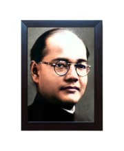 Hitech Netaji Subhas Chandra Bose Laminated Photo Frame for Table, Study & Living Room, Gifts (Synthetic Wood Base and Front Glass, 8 x 6 inch)