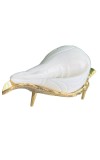 Jal Shankha for Pooja White Conch Shell with Golden Stand Spiritual Vastu for Home Temple Natural Sankha for Ritual Use (Small Size, Pack of 1)