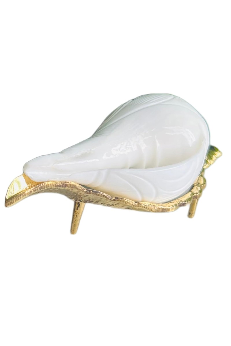 Jal Shankha for Pooja White Conch Shell with Golden Stand Spiritual Vastu for Home Temple Natural Sankha for Ritual Use (Small Size, Pack of 1)
