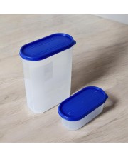 Airtight Kitchen Storage Container, 600ml Capacity, Blue Lid (Set of 2) (7 X 9)