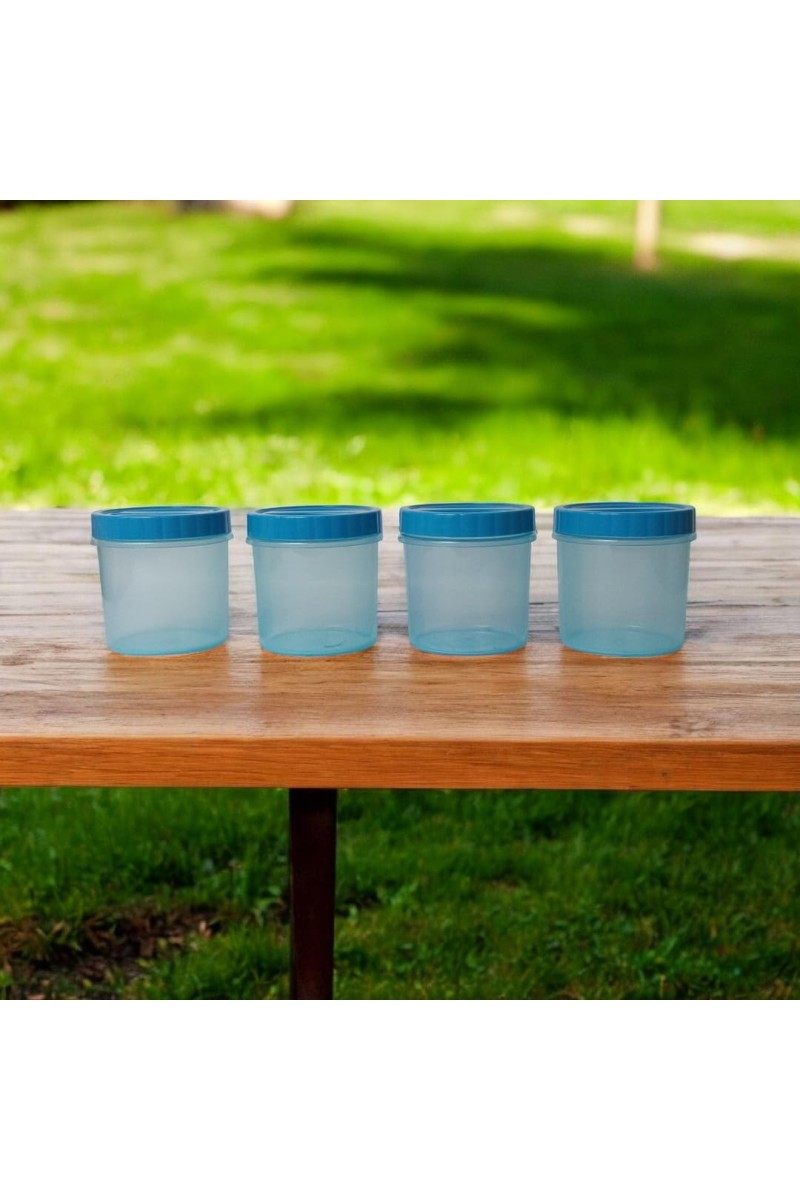 Airtight Plastic Container with Lid 1000ml (Set of 4) Plain | Multipurpose Storage & Grocery Containers. (Blue)