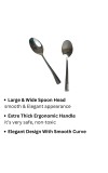 Hitech Sales Stainless Steel Set of 6,18 cm Long,Spoons for Home & Kitchen,Dinning Tableware Gift for House Warming,6 Pieces Spoons Silver Imperial Design