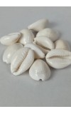 Hitech Sales Natural White Cowrie-Kaudi-Kawri-Kori - Cowry- Sea Shell for Puja and Multi Purpose Uses (11)