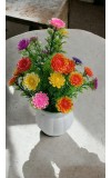 Hitech Artificial Flower Pot Multi Colour Tableware Home Decor Living Room Shop Office Bed Room Washroom & Gift Artificial Plant with Pot Pack of 1