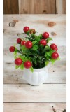 Hitech Artificial Flower Pot Red Cherry Tableware Home Decor Living Room Shop Office Bed Room Washroom & Gift Artificial Plant with Pot Pack of 1 (Red & Green)