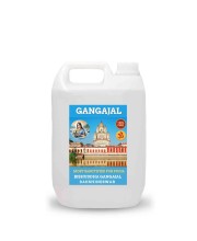 100% Organic, Pure & Natural Gangajal from the Dakshineswar River Ganga, Authentic,Spiritual and Religious for Puja Purposes, Daily Use, 2 Liter Jar