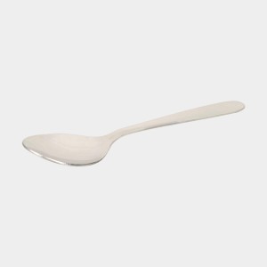 Stainless Steel Lunch Box, Container: 23 X17 X 6cm, Spoon: 13.5cm Length (Pack of 1)