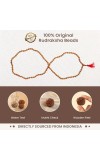 Handmade Rudraksha Mala 108 Beads – Puja, Chanting, Meditation Rosary (14.5inch/37.5cm) (Small)