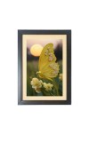 The beautiful yellow color butterfly Black Photo Frame Funny Animal and Bird Cartoon Art