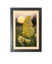 The beautiful yellow color butterfly Black Photo Frame Funny Animal and Bird Cartoon Art